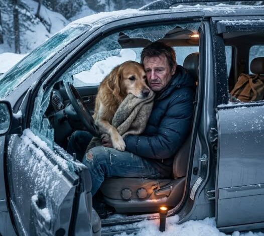 He Was Freezing to Death in a Dark Ravine Until a Stray Dog Saved Him Carrying a Message From His Deceased Daughter That Would Change His Life Forever and Prove Love Never Truly Dies and brings him back from despair