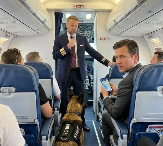 When an angry first-class executive demanded that a battle-worn military dog be removed just before takeoff, the captain’s calm announcement about what had already been discovered beneath the aircraft forced the entire plane to face a truth none of them expected…