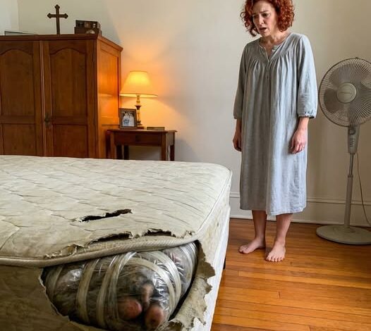 For the past three months, every night I have been smelling a strange smell. It’s not a typical body odor. It was like the smell of mold mixed with a strong, pungent smell clinging to the blankets, to the bedsheet, and especially to the part of the bed where Christopher was sleeping.